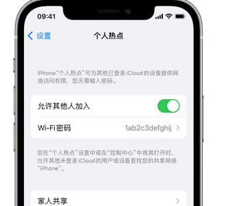 江口apple服务站点分享iPhone上个人热点丢失了怎么办 