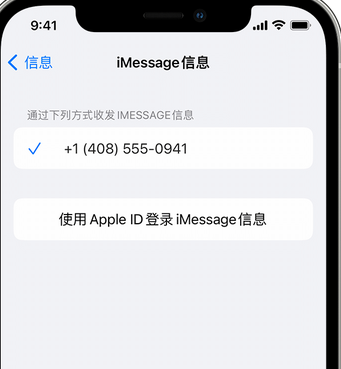 江口apple维修iPhone上无法正常发送iMessage信息 