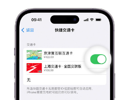 江口apple维修点分享iPhone上更换Apple Pay快捷交通卡手绘卡面 