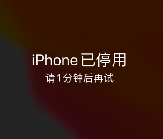 江口苹果手机维修分享:iPhone 显示“不可用”或“已停用”怎么办？还能保留数据吗？ 