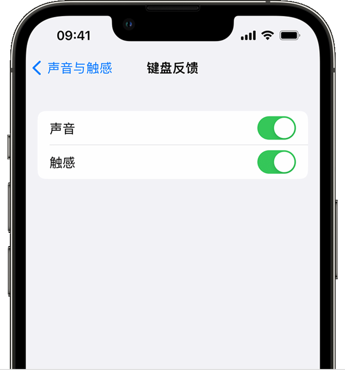 江口苹果14维修店分享如何在 iPhone 14 机型中使用触感键盘 