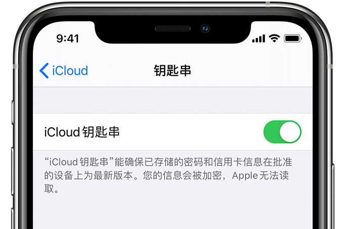 江口苹果手机维修分享在 iPhone 上开启 iCloud 钥匙串之后会储存哪些信息 