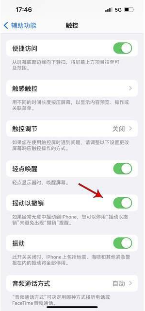 江口苹果手机维修分享iPhone手机如何设置摇一摇删除文字 